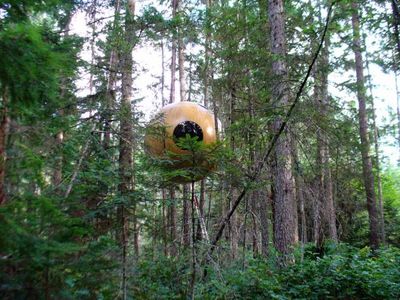 Pics_Tree_House_4.jpg