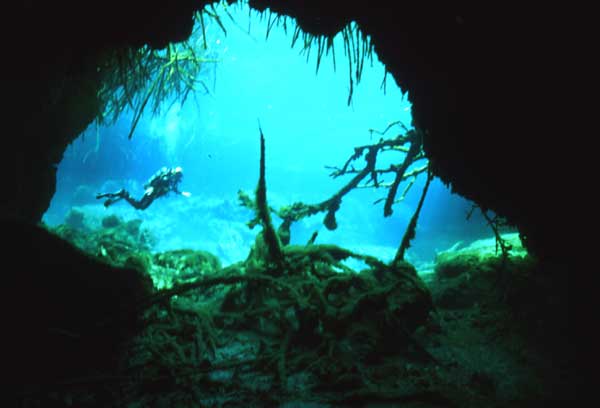 cenote_cenote.jpg