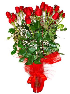 ankara_zeynep_cicek3172.jpg