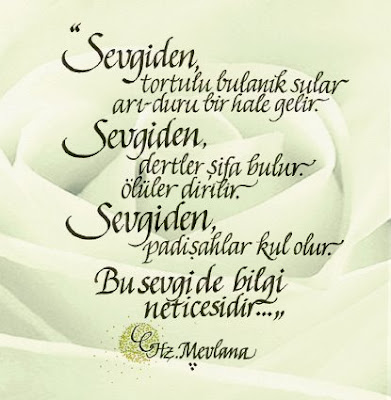 sevgi_mevlana.jpg
