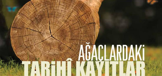 agaclardaki-tarihi-kayitlar.jpg