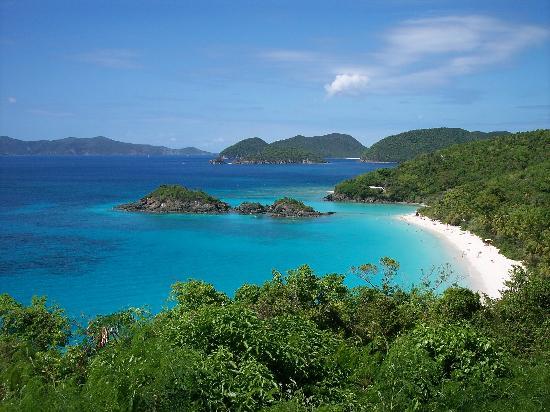 trunk-bay-st-john-usvi.jpg